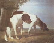 Jacques-Laurent Agasse, Foxhounds in a Landscape